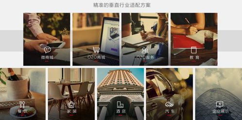 速成應用 領航微信小程序開發與移動互聯網解決方案